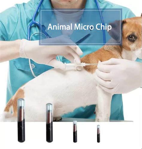 read pet rfid tag with phone|rfid tags for animals.